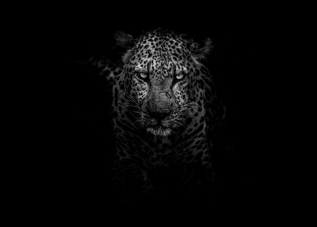 Il Ritorno delle Stampe Animalier: Come Indossarle con Stile