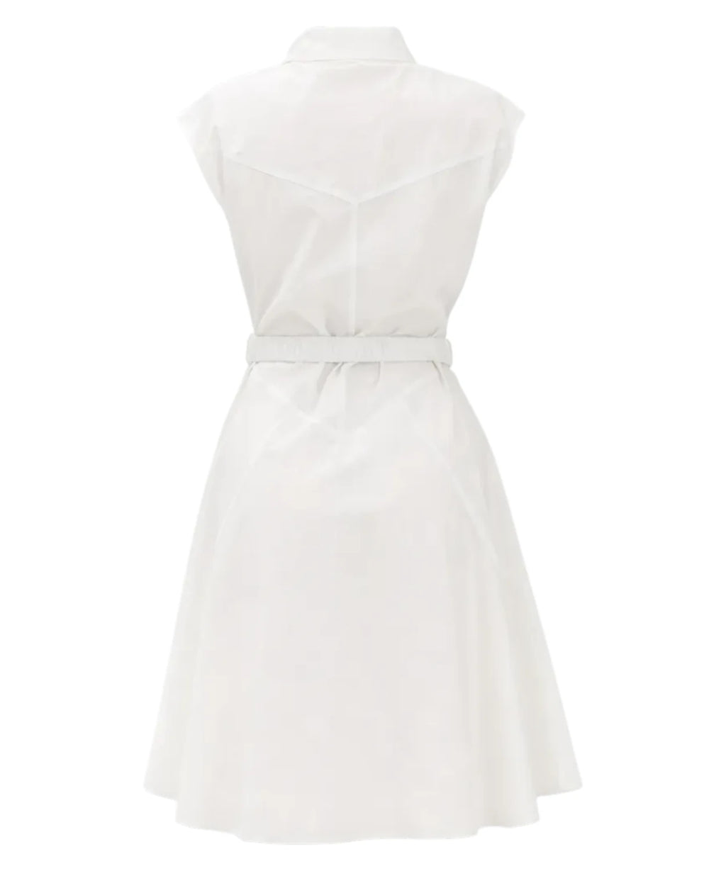 Pinko Anaceta Chemise Dress
