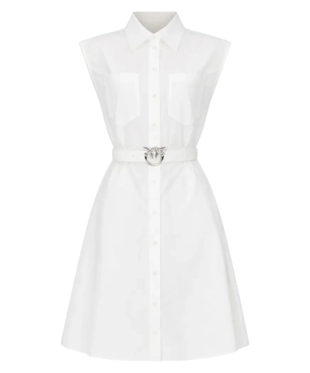Pinko Anaceta Chemise Dress