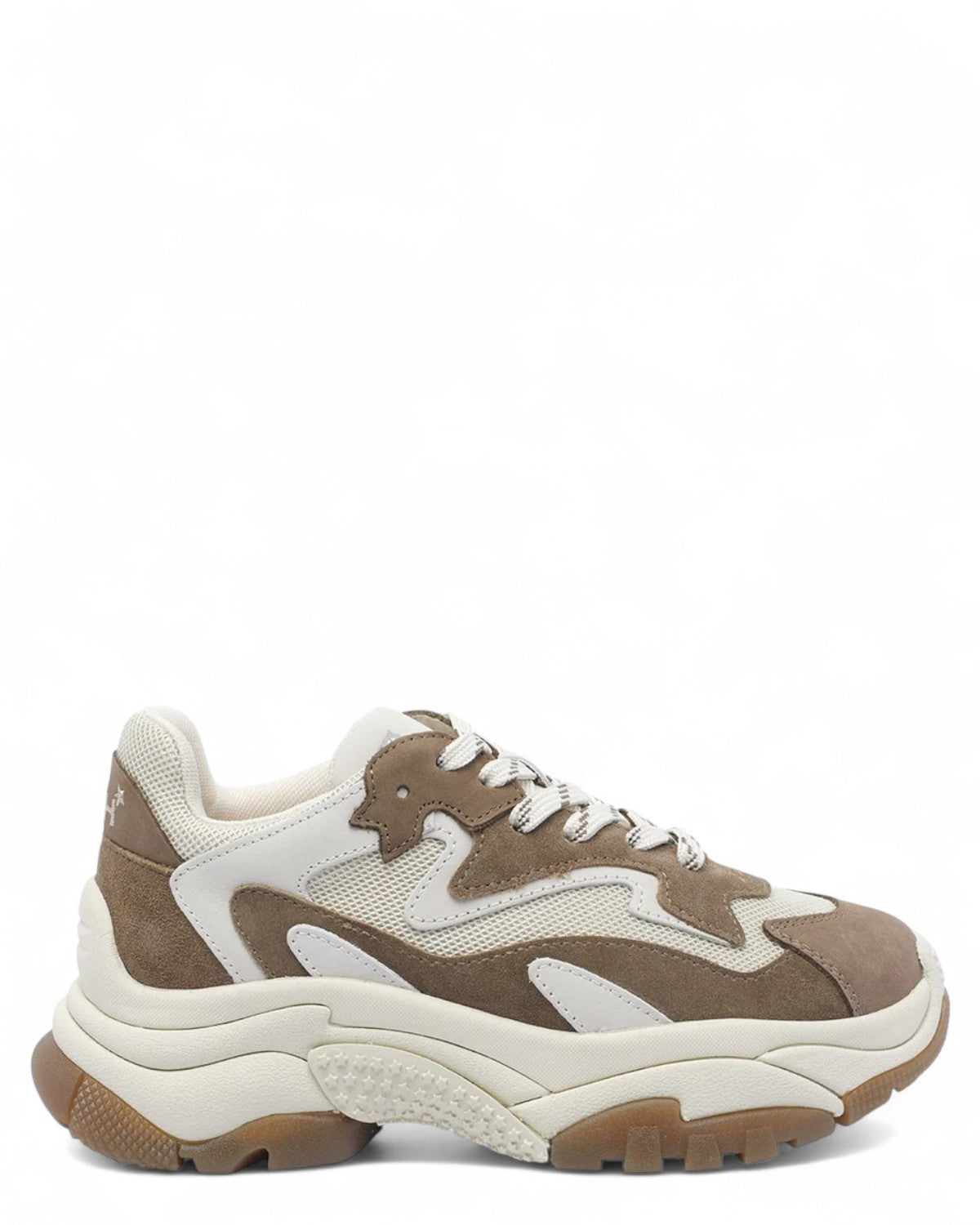 Addict Sneakers in suede Marrone-ASH-Sneakers-Vittorio Citro Boutique