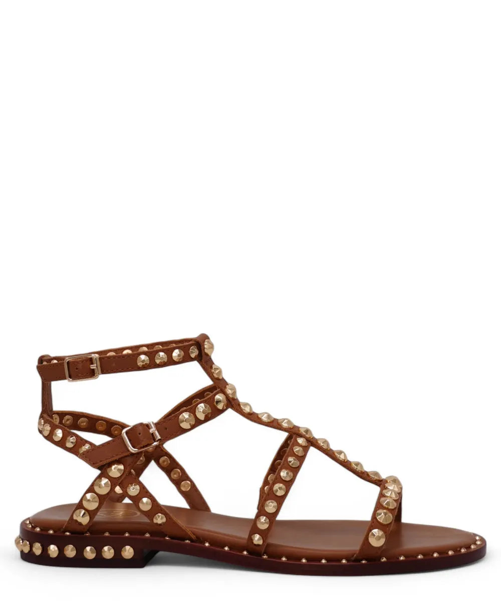 Ash: iconic, urban and glamorous