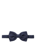 Elegant Papillon Lardini in Men's Jacquard Silk
