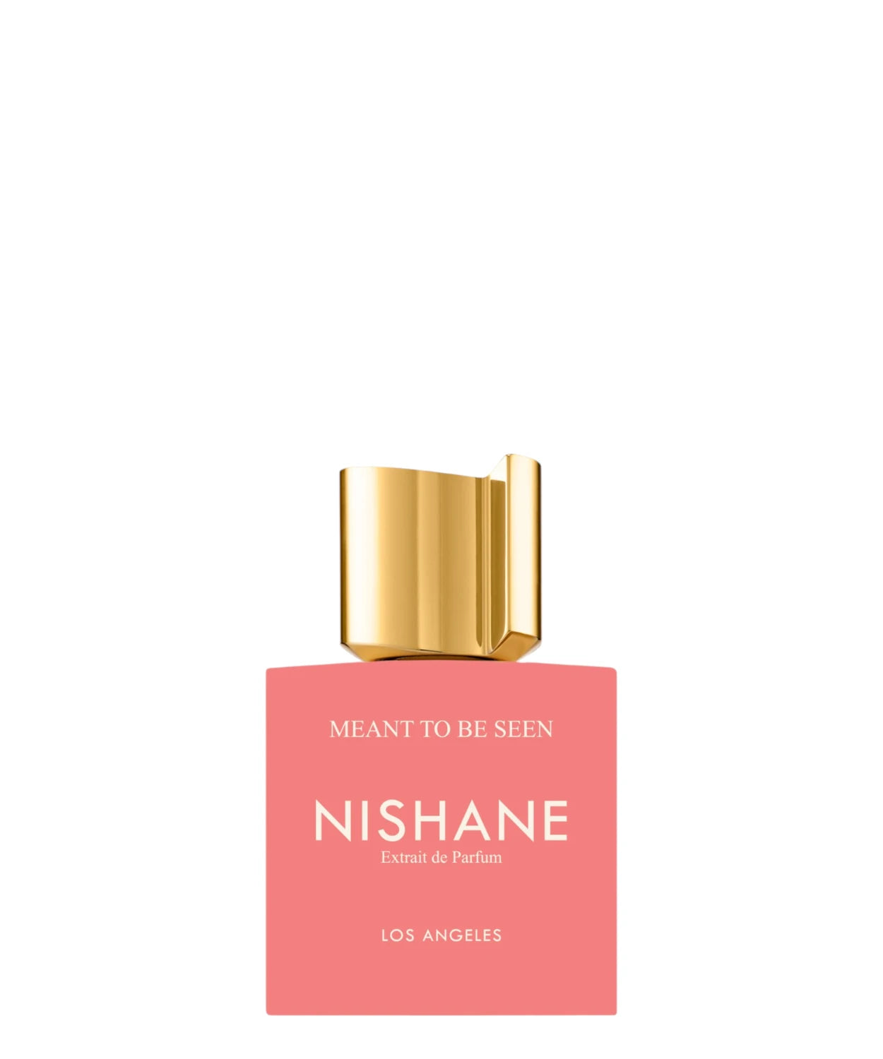 Nishane Meant To Be Seen perfume