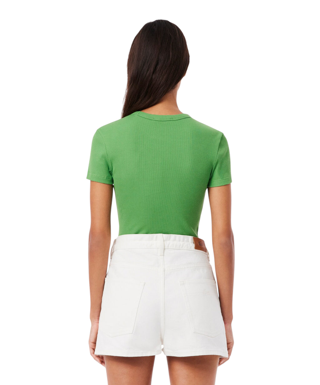 Lacoste Slim Fit Organic Cotton T-Shirt