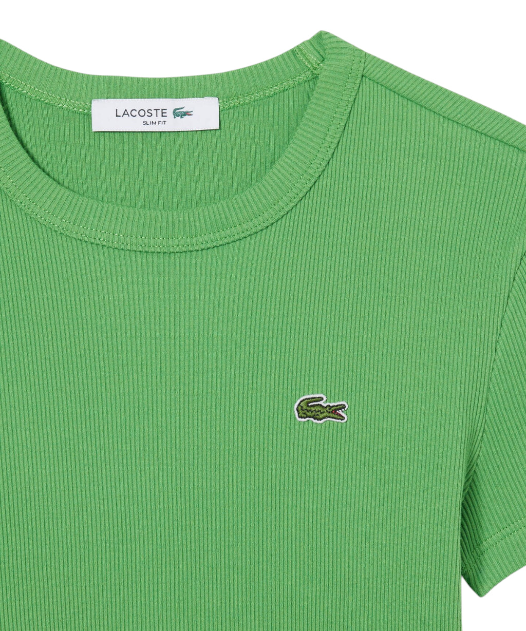 Lacoste Slim Fit Organic Cotton T-Shirt