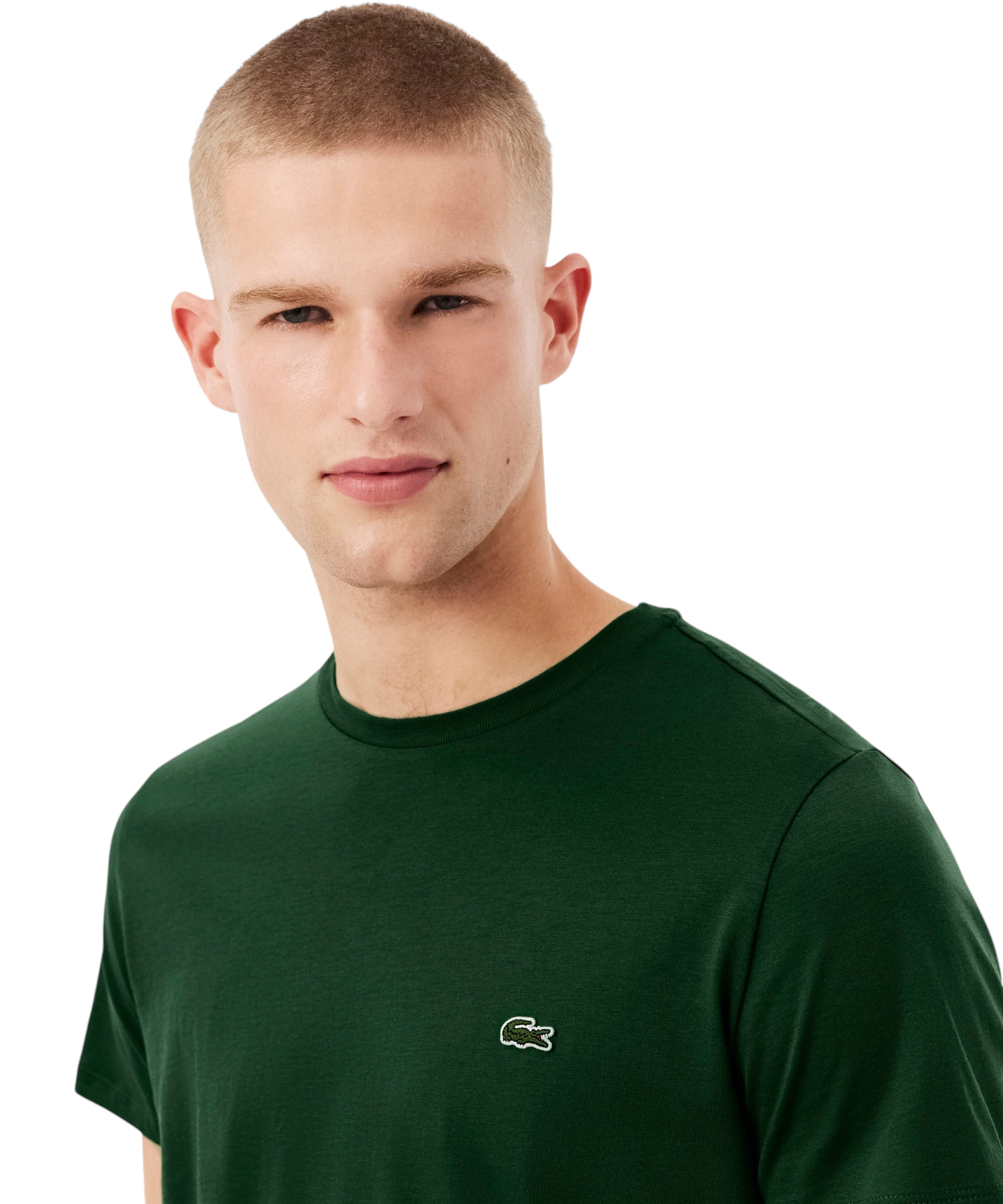 T-shirt cotone Pima Lacoste per uomo
