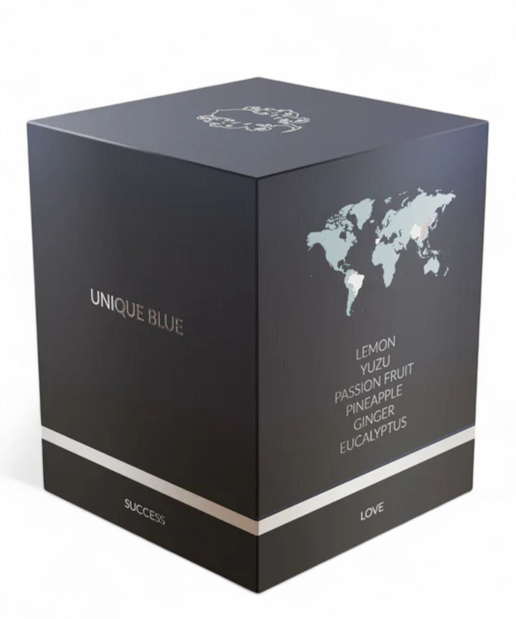 Unique Blue Superz Eau de Parfum 100 ml-Profumi-Superz-Vittorio Citro Boutique
