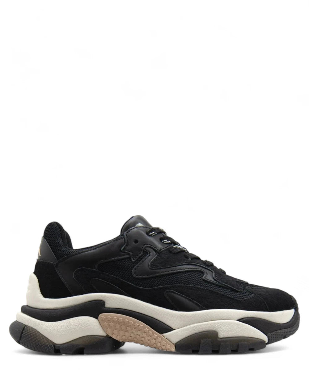 Chunky Sneakers Donna Addict Combo-ASH-Sneakers-Vittorio Citro Boutique