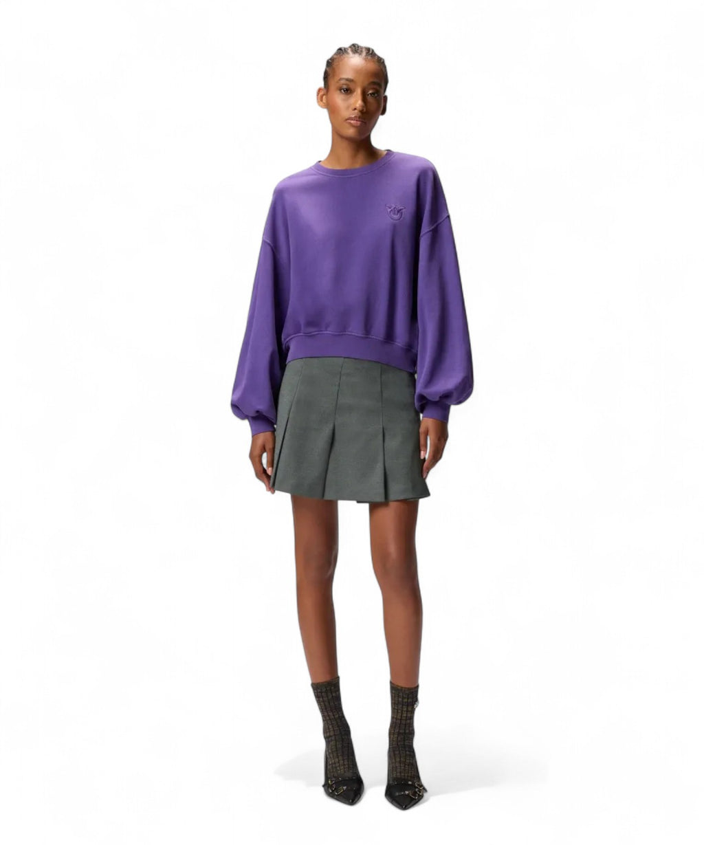 Minigonna a Pieghe in Misto Lana-Gonne-Pinko-Vittorio Citro Boutique