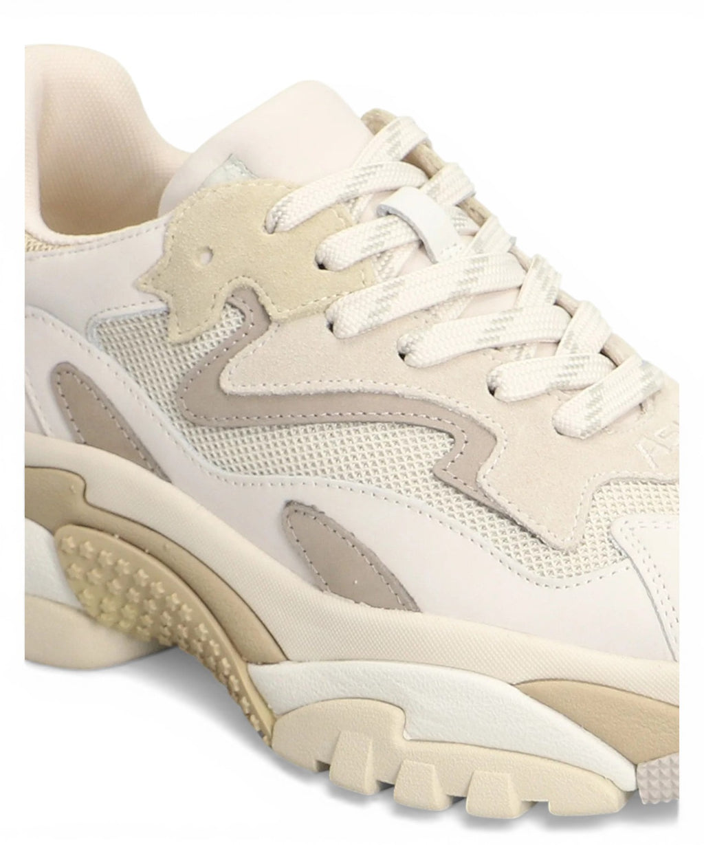 Chunky Ash Addict Sneakers in Leather and Technical Fabric